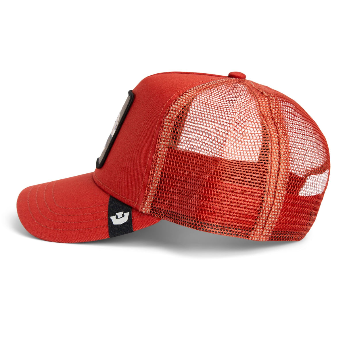 The Extinct Dino Trucker Hat